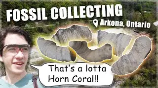 Digging for MASSIVE Fossils in Arkona, Ontario!! | Alex Karatzky