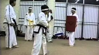 Grand Master Park Jung Tae teaching 