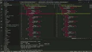 VSCode: Orgs and Source