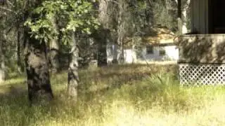 Real estate for sale in Oakhurst California - MLS# yg13109591