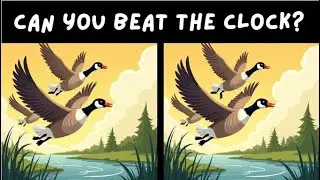 Can YOU Find the 3 Differences in 90 Seconds? (Normal)