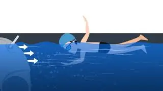 Endless Pool Fitness Systems Swim Machine