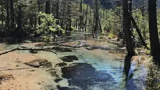 上高地 #上高地　＃旅行　＃水　＃Kamikochi #trip #pure #water #Japan #culture #癒し　＃healing