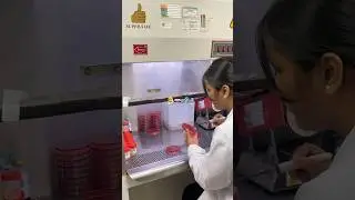 Day in life of a microbiology intern 👩&zwj;🔬 #internlife #minivlog