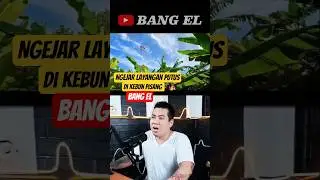 Mengejar layangan putus ketika tidak ada saingan nya #shorts #reactionvideo #fypvideo #eldanboy