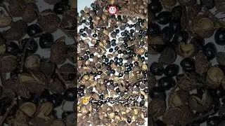 Timer Chatni wala | Dry Timber seeds | Timber ki Chatni | Timmer ki Chatni