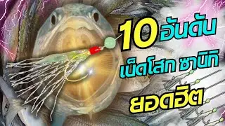 10อันดับเบ็ดโสก ซาบิกิ ยอดฮิต