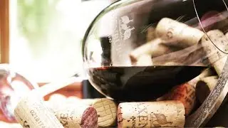 ABOUT THE WINELANDS #45 - Meet Vincent and Fiona Buhrer of Family Owned Saxenburg Wine Estate