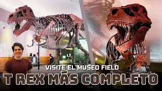 I met the most complete T. rex in the world 🦖 | My visit to the Field Museum