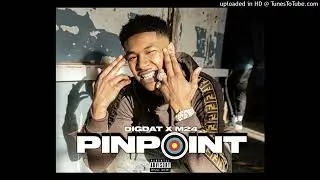 DigDat X M24 - PinPoint #UK #DigDat