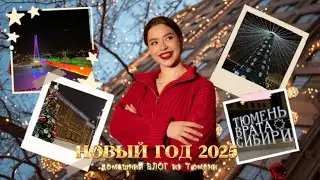СЕМЕЙНЫЙ НОВЫЙ ГОД 2025 / Домашний влог из Тюмени