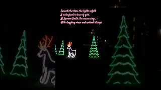 🎄Burlington Festival of Lights: A Sparkling Holiday Tradition