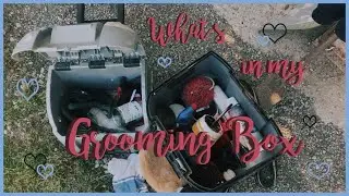 Cosa c'è nella mia grooming box ♡