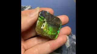 Ammolite Explained: The Ancient Gemstone That Shines Like a Rainbow #fossil #ammolite #ammonite
