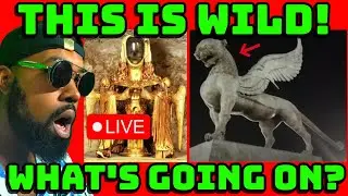 Mysterious Videos That Had Me Puzzled!