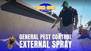 Knock-Down Pest Control Sydney - General Pest Control Services Sydney