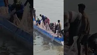 fishmen dive to prepare their net to catch big fish 🐠