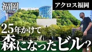 ビルかと思ったら山だった？アクロス福岡をぶらり