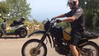 Scooter 2015