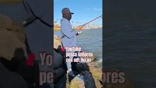 pesca de corvina en  Oxnard California por marina Park m&aacute;s conocido como la sirena 🧜&zwj;♀️ 03/03/2024