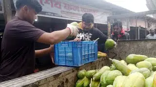 কোটচাঁদপুর পাইকারি ফল বাজারে পেঁপে ভালো দামে বিক্রি হচ্ছে| ঝিনাইদহ কোটচাঁদপুর বড় পাইকারি ফল বাজার|