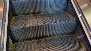 2018 Kone Travelmaster 110 | Te Papa, Wellington
