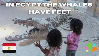 Cairo, Faiyum & Wadi Al Hitan | Family Travel In Egypt