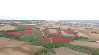 Montecosaro Alto campo rosso visto dal drone