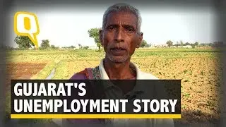 B.Com Fail Daily Wage Farmer Tells Gujarat&rsquo;s Unemployment Story | The Quint