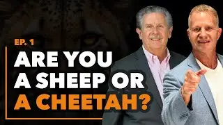 Welcome To The Jungle! Are You a Sheep or Cheetah? Personal Growth & Entrepreneuership Podcast