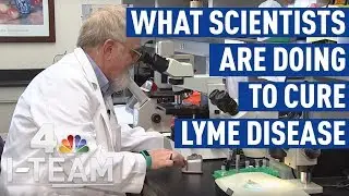 How Scientists Are Working to Understand Lyme Disease