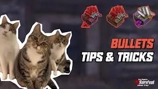 Bullets Guide | Last Island of Survival