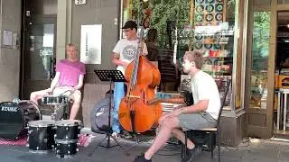 Ume&aring; Live - FSN-trio