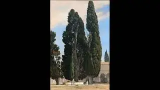 John Kersey plays Stefano Golinelli Piano Sonata no 5 in E minor, op. 140