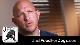 Why Is Canine Nutrition Important? feat. Dr. Adam Gassel, DVM | JustFoodForDogs