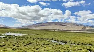 Leh Day-5(2) Chamthang (towards Razang La)