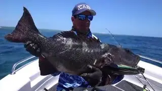 MONSTER CORAL TROUT Cast Mag presents 