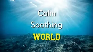 Relaxing Underwater Scenery - 3 hrs - Calm Soothing Music - Healing Music Tuneone