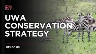 UWA unveils 2025&ndash;2030 strategy to boost wildlife protection