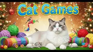 WOW!!! A collection of captivating programs that keep cats glued to the screen--relaxing for cats #2