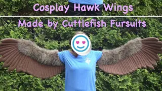 Cosplay Hawk Arm Wings