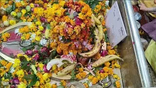 छोटी काशी के दर्शन🙏🙏🙏 महादेव | महादेव की नगरी | बाबा के दर्शन🙏🙏🙏