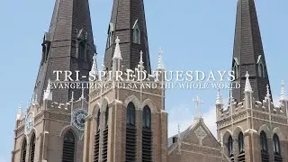 Tri Spired Tuesdays: Episode 1 The Four Main Columns