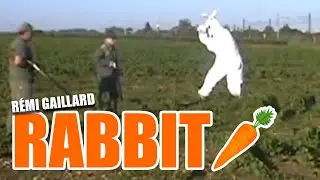 LAPIN (REMI GAILLARD) 🐰