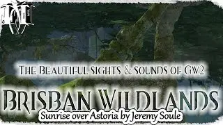 GW2 ✵Vistas ✮ Maguuma Jungle ✮ Brisban Wildlands ✮  Sunrise over Astoria
