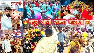 🥥नारळी पौर्णिमे🌺दिवशी 😍 मथुर आणि सोन्या पुन्हा एकदा जोडीला #नारळीपौर्णिमा #bailgadapremi 