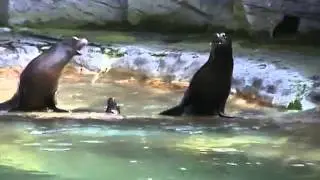 Besuch im Baslerzoo,aufgenommen von Silvio Rauch