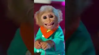 Vintage Food Chaos! Kewpie & Bibi&rsquo;s Kewpie Brand Commercial Fails (1948-1999)