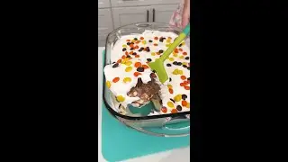 Easiest Peanut Butter Treat