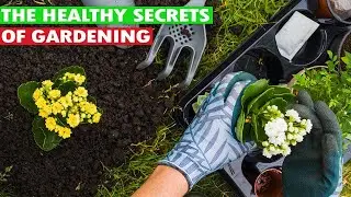 What Are the Health Related Benefits of Gardening? - 5 Secrets